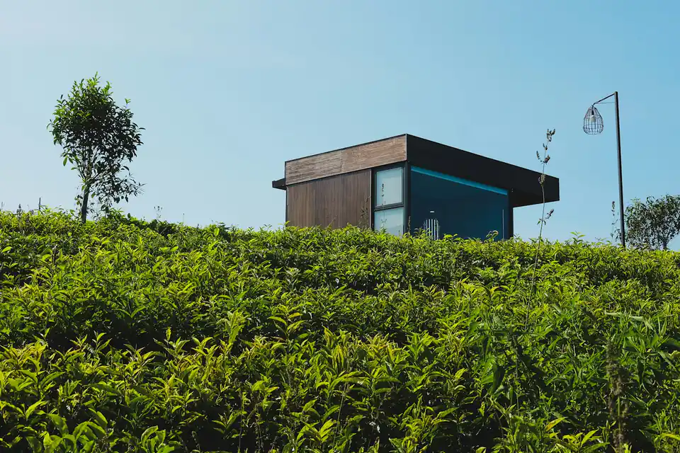 Flat-roofed modern garden room above a hedge, a design idea for Whitley Bay gardens
